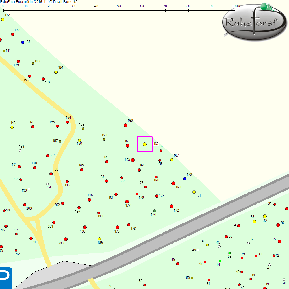 Detailkarte zu Baum 162