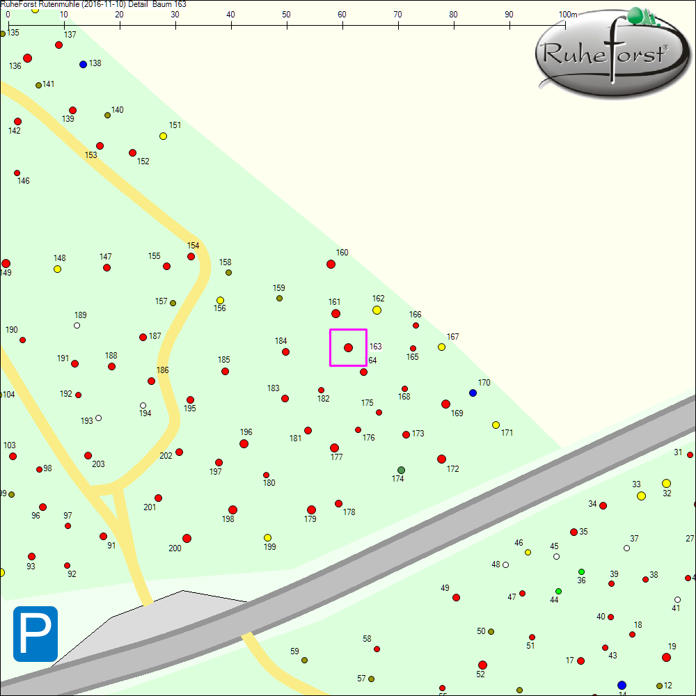 Detailkarte zu Baum 163