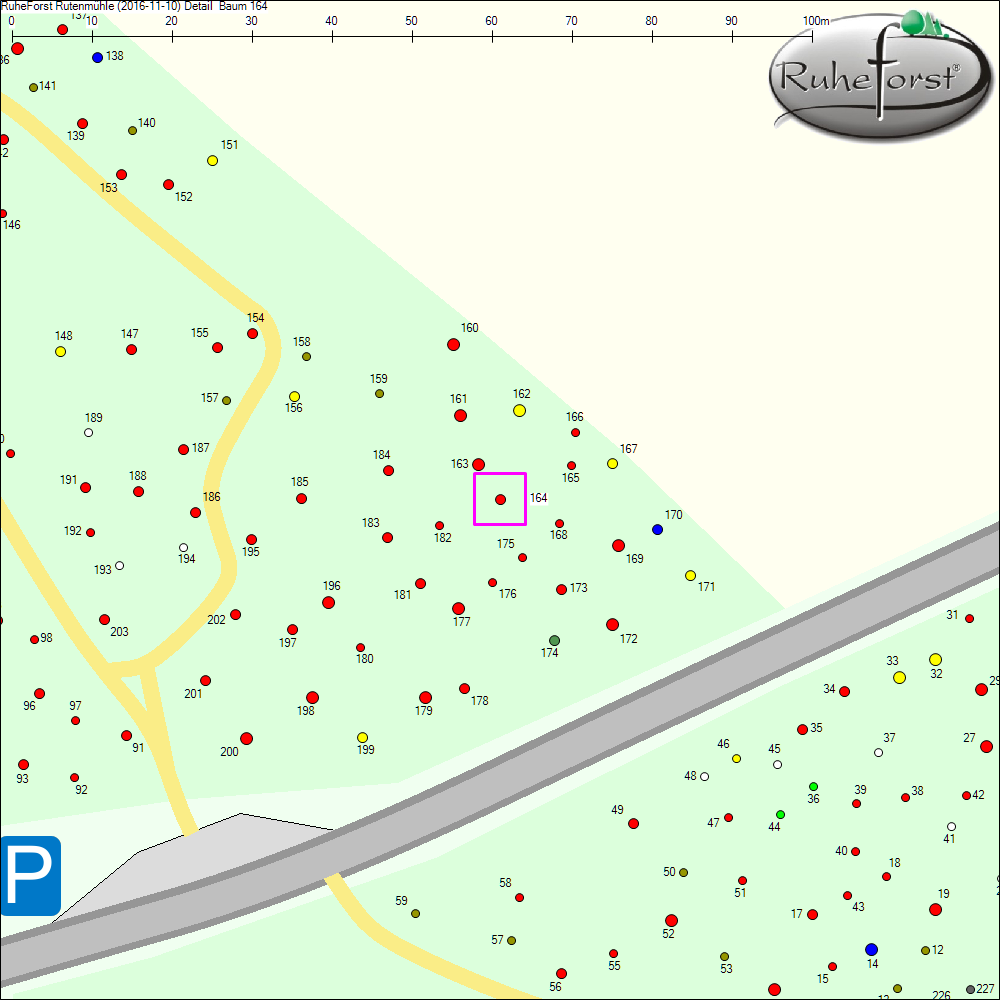 Detailkarte zu Baum 164