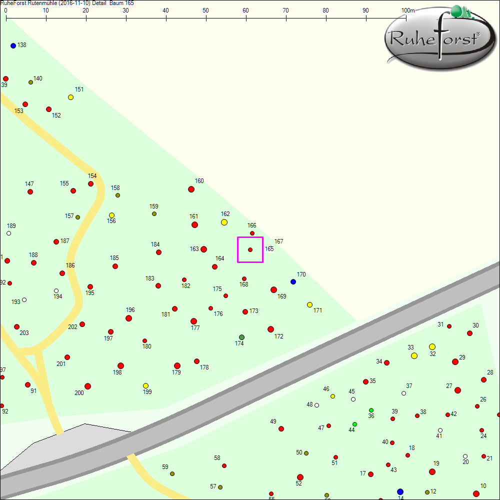 Detailkarte zu Baum 165