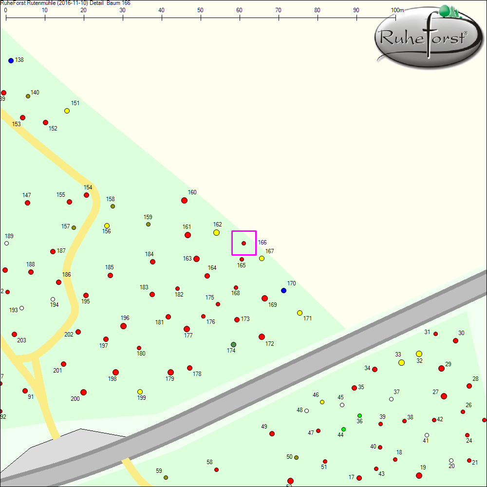Detailkarte zu Baum 166