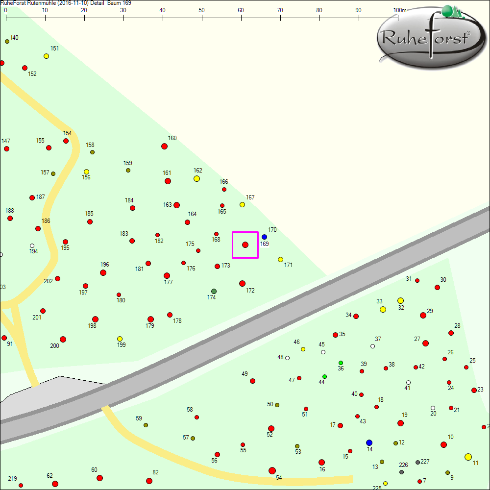 Detailkarte zu Baum 169