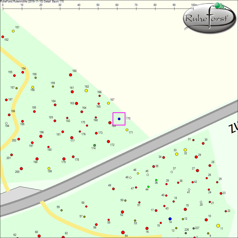 Detailkarte zu Baum 170