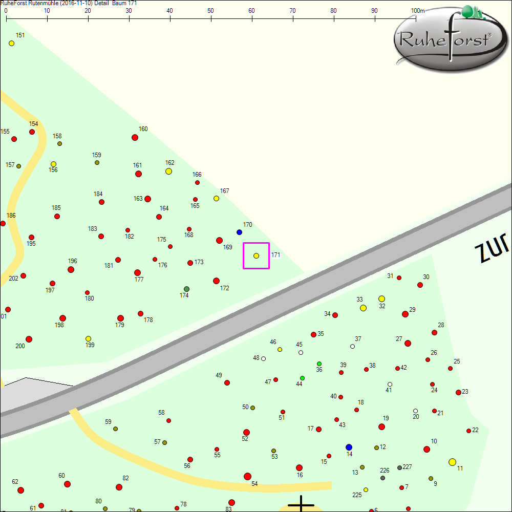 Detailkarte zu Baum 171