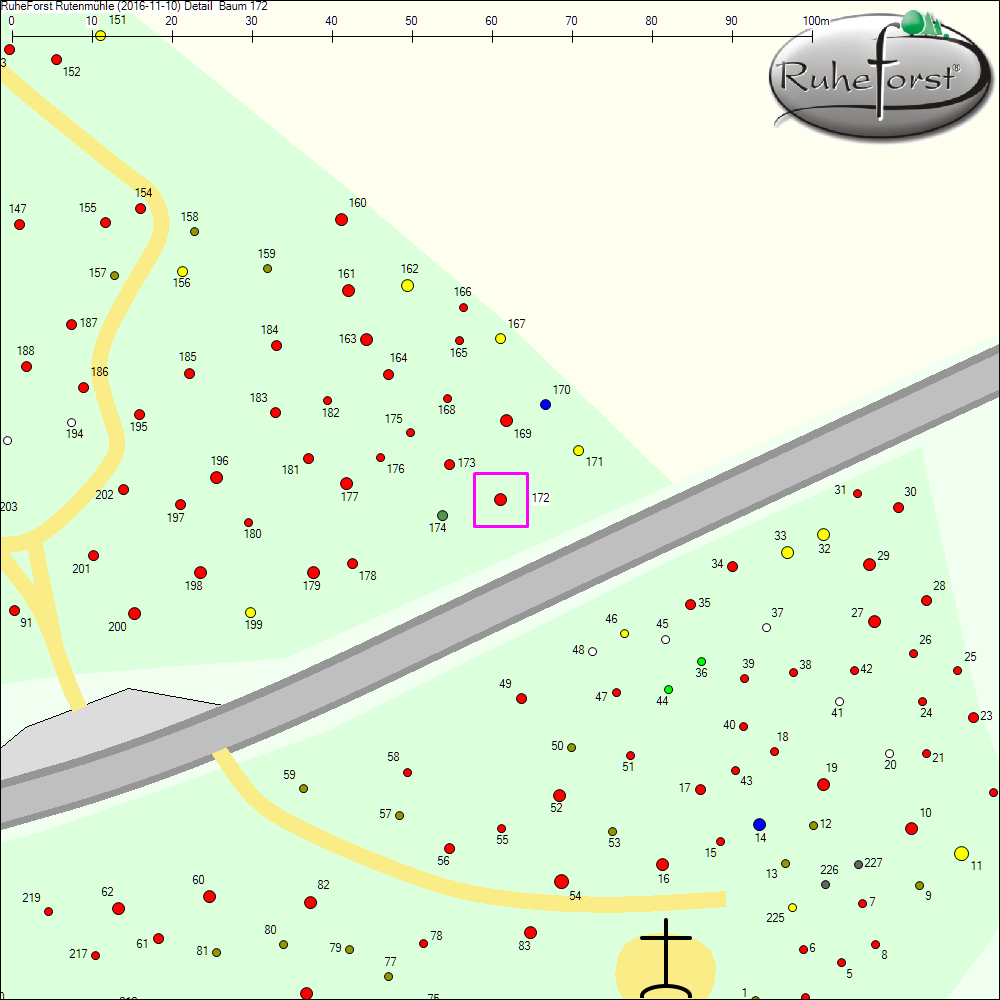 Detailkarte zu Baum 172