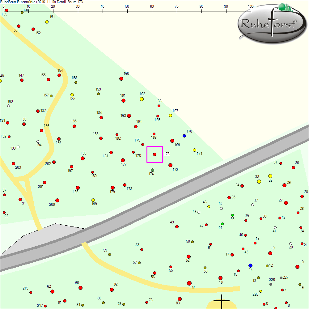 Detailkarte zu Baum 173