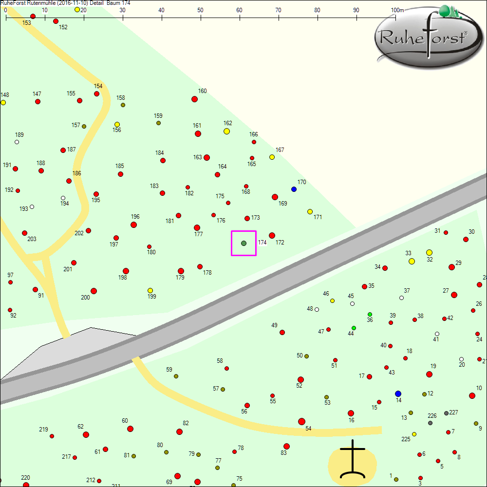 Detailkarte zu Baum 174