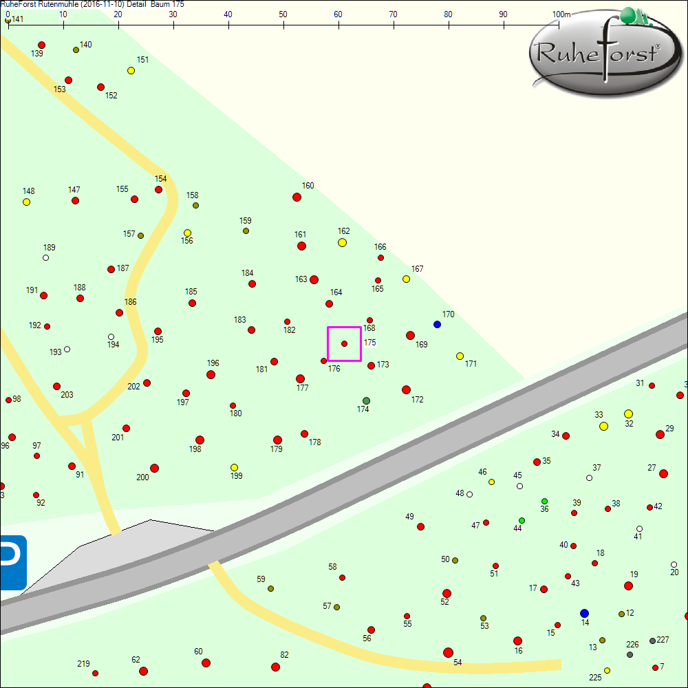 Detailkarte zu Baum 175