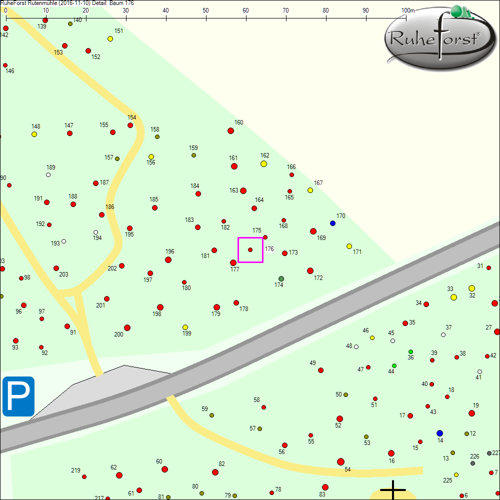 Detailkarte zu Baum 176