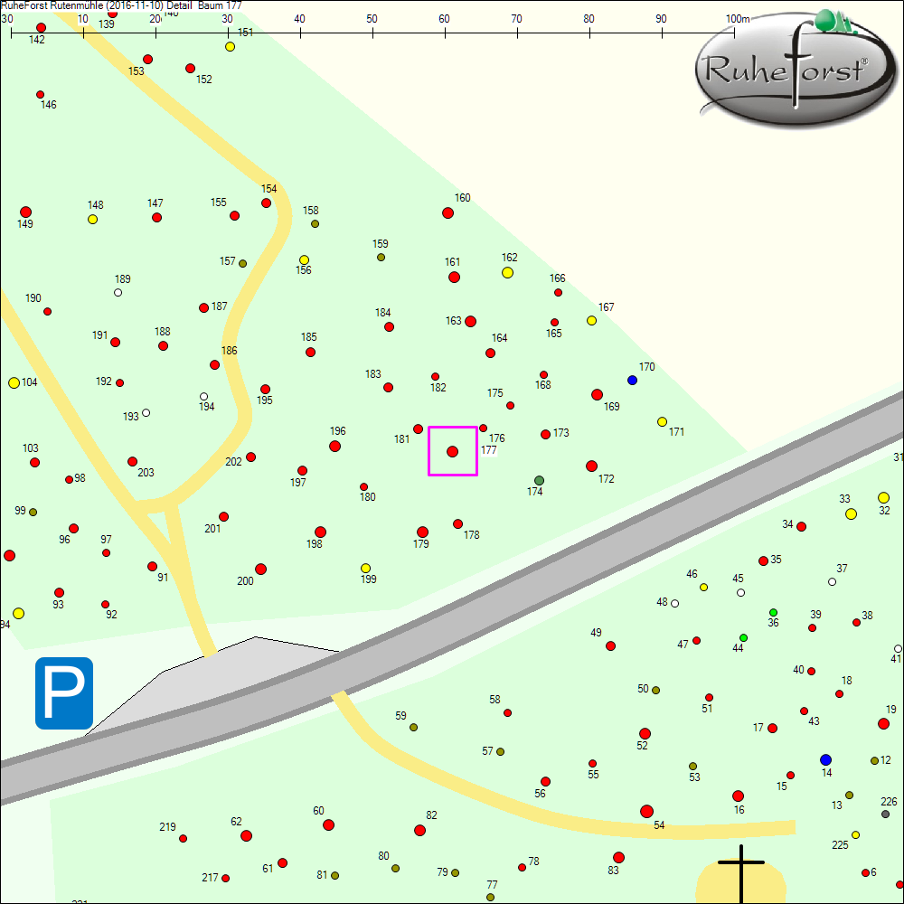 Detailkarte zu Baum 177