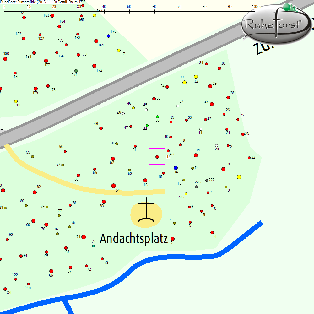 Detailkarte zu Baum 17