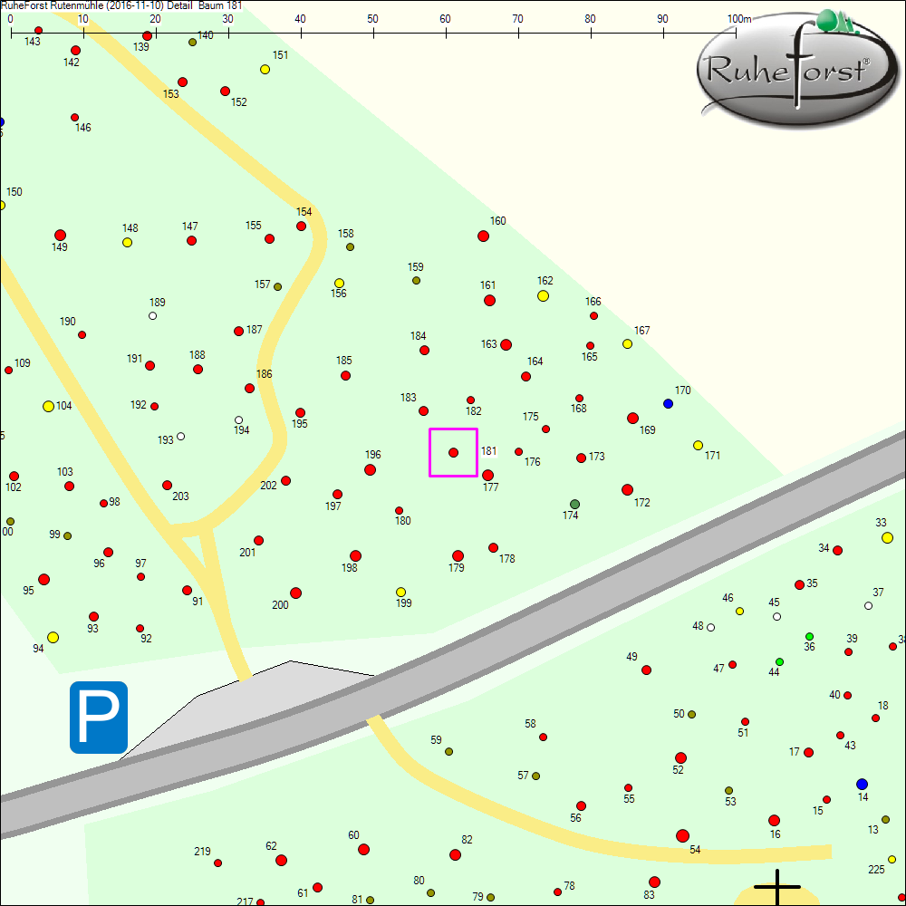 Detailkarte zu Baum 181