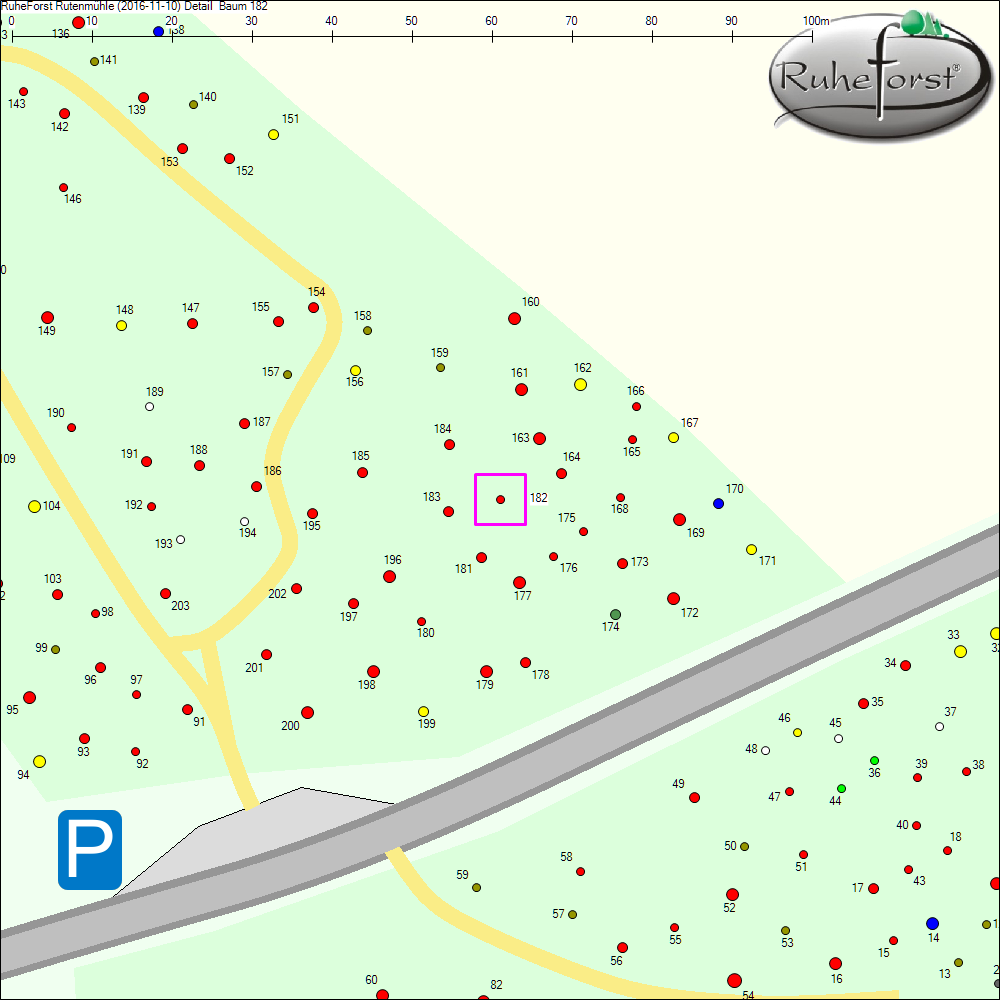 Detailkarte zu Baum 182
