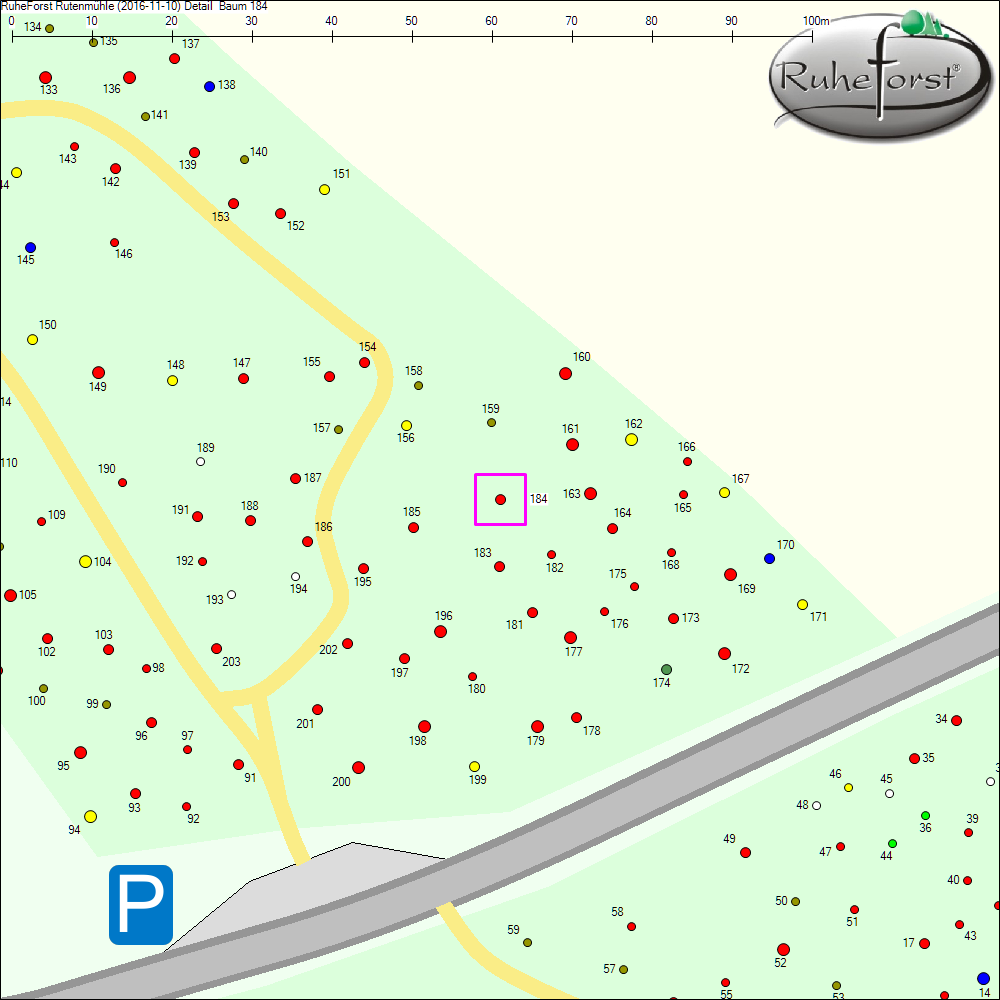 Detailkarte zu Baum 184