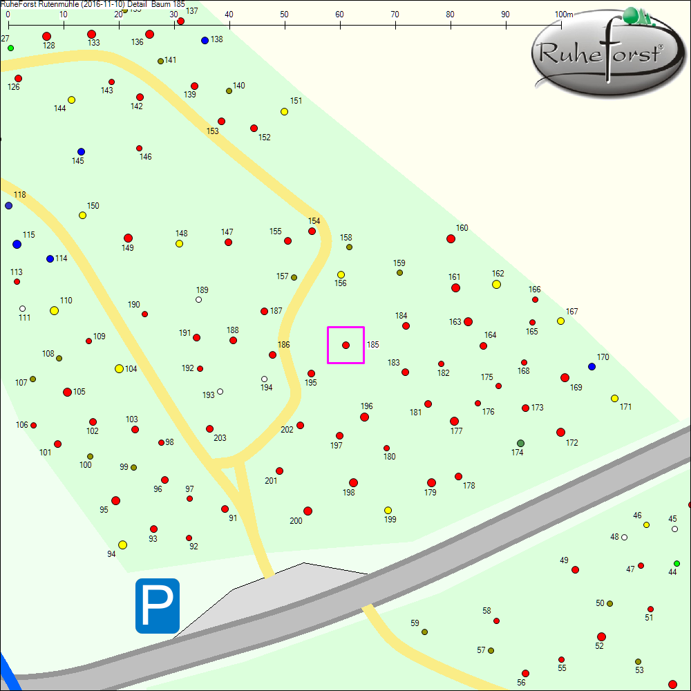 Detailkarte zu Baum 185