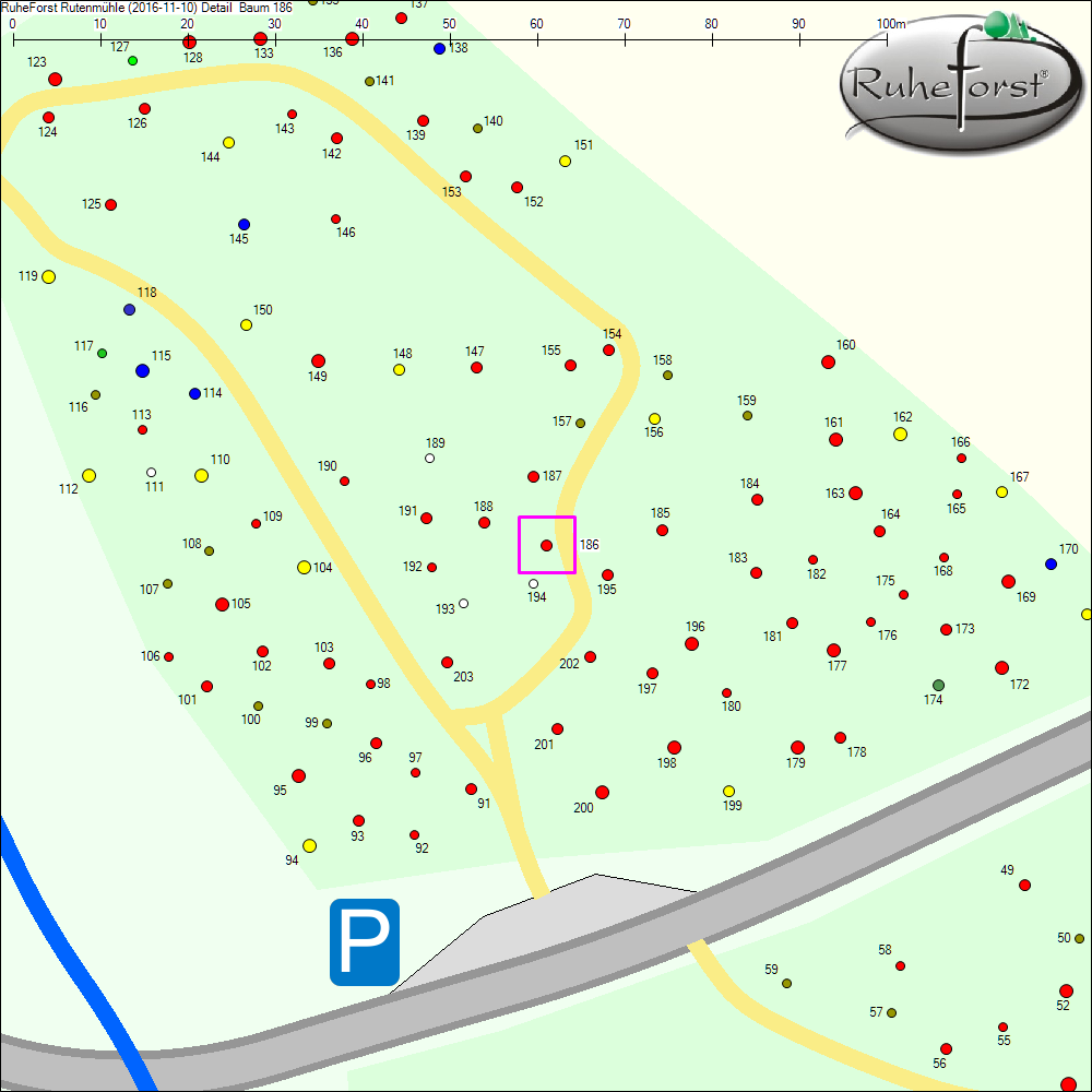 Detailkarte zu Baum 186