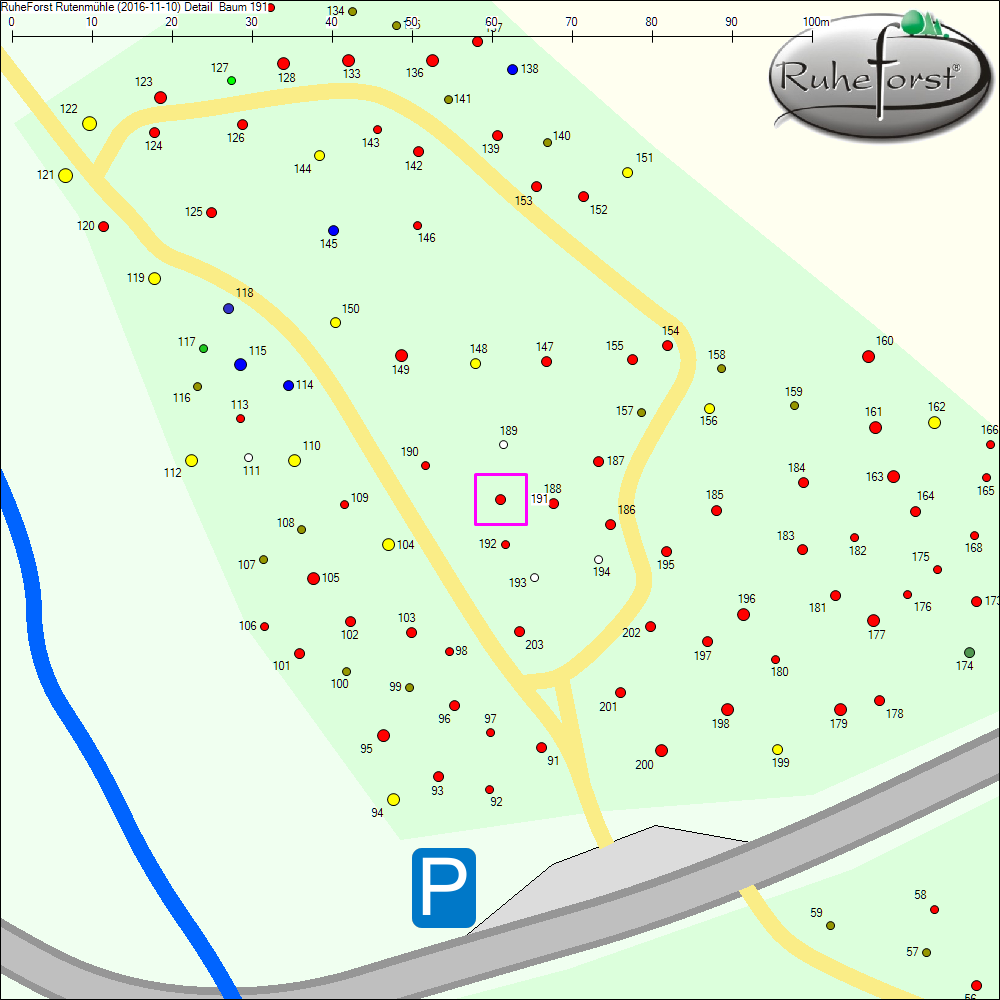 Detailkarte zu Baum 191