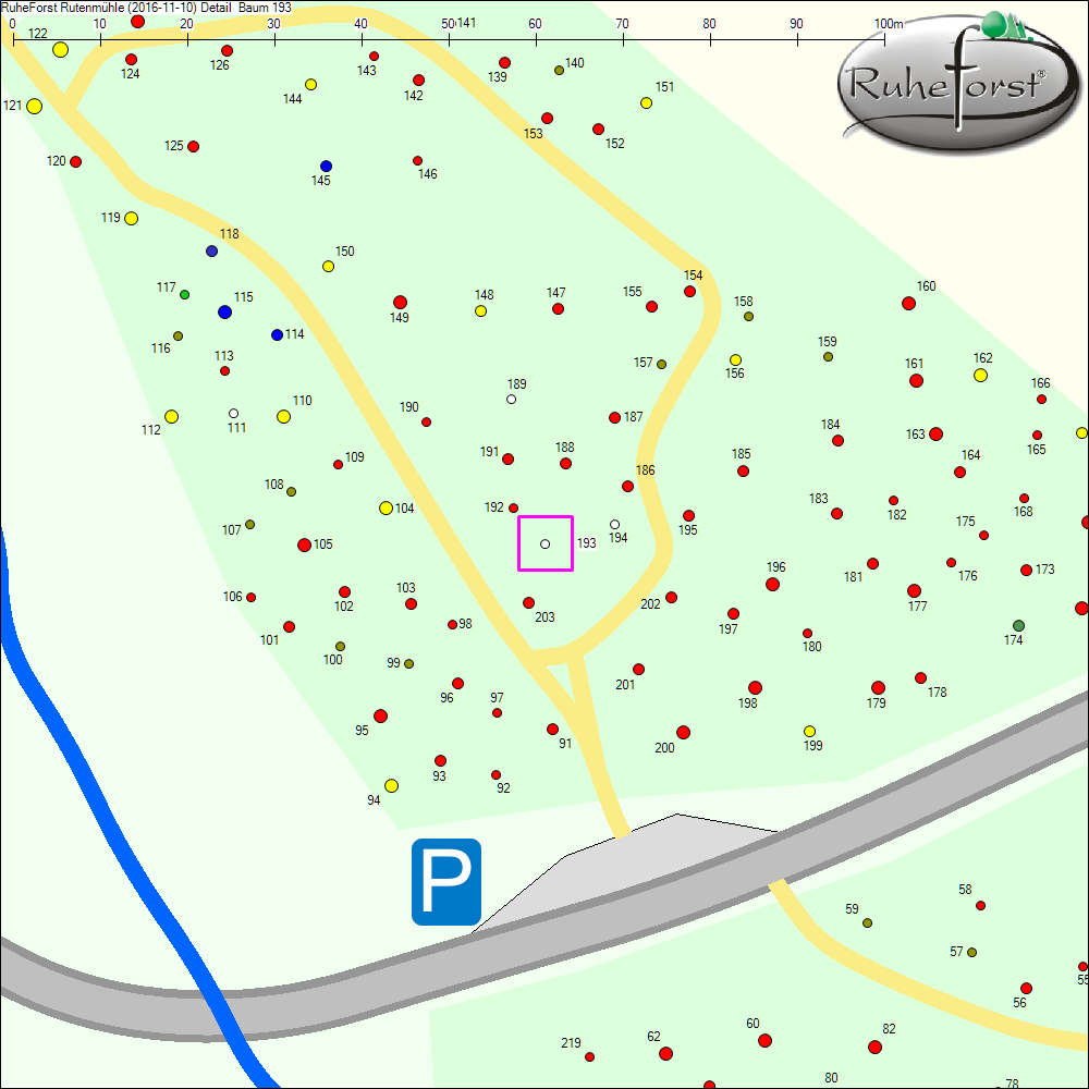 Detailkarte zu Baum 193