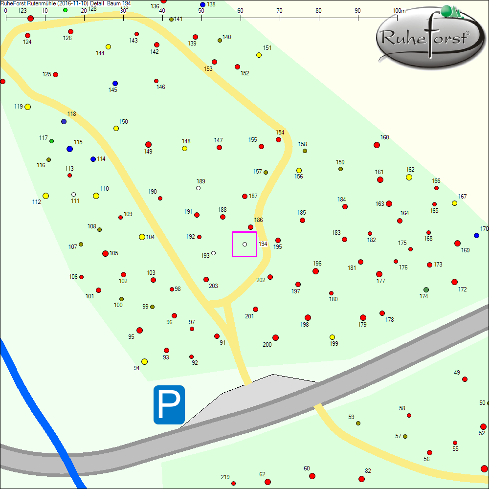 Detailkarte zu Baum 194