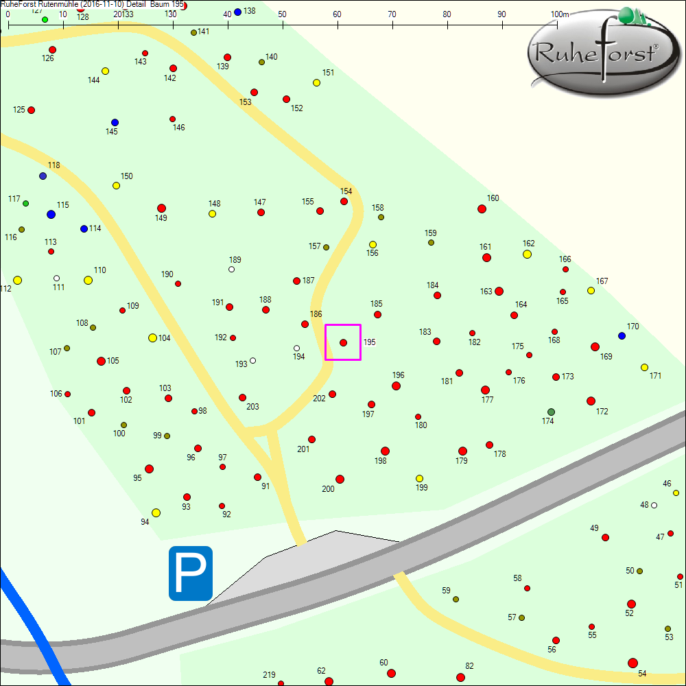 Detailkarte zu Baum 195