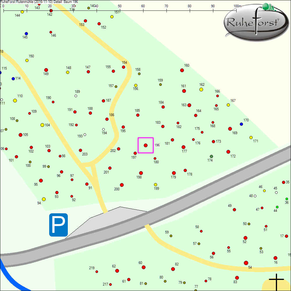 Detailkarte zu Baum 196