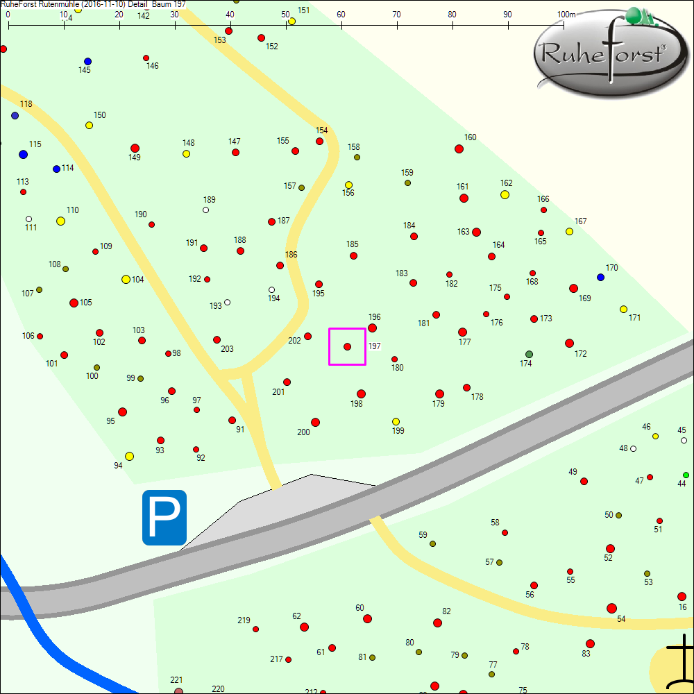 Detailkarte zu Baum 197