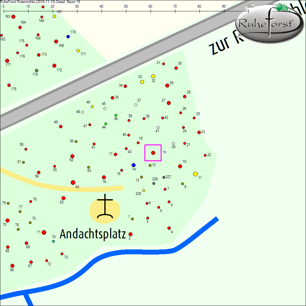 Detailkarte zu Baum 19