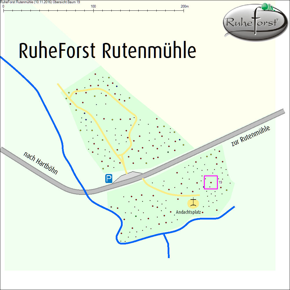 &Uuml;bersichtskarte zu Baum 19