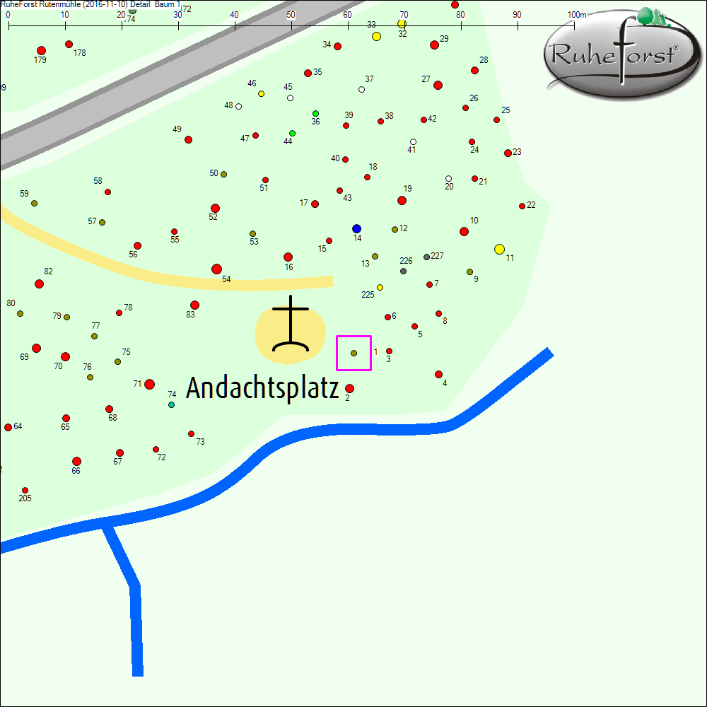 Detailkarte zu Baum 1