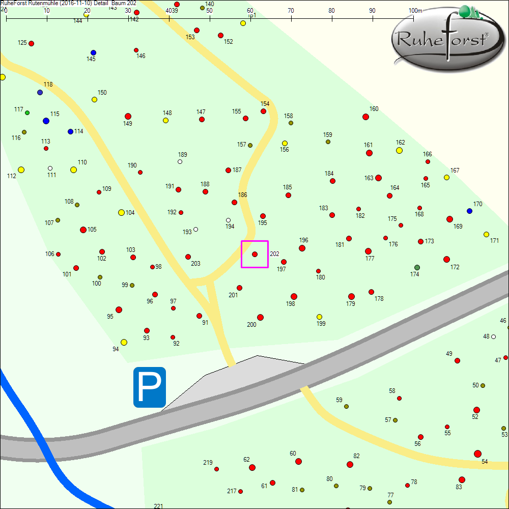 Detailkarte zu Baum 202