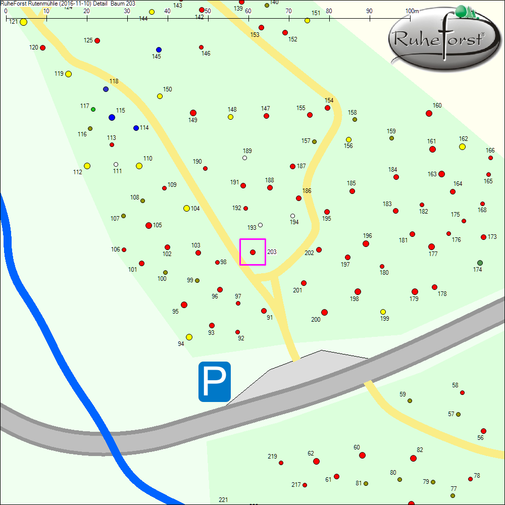 Detailkarte zu Baum 203