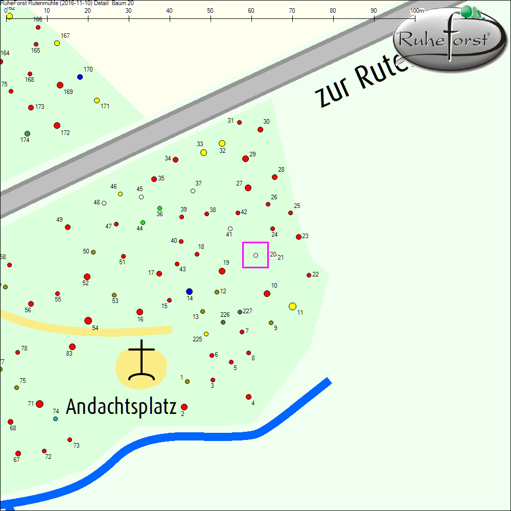 Detailkarte zu Baum 20