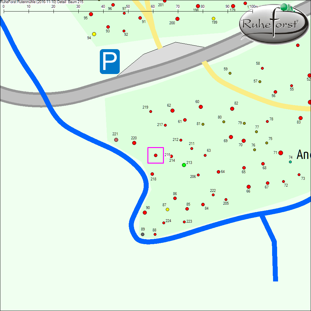 Detailkarte zu Baum 215