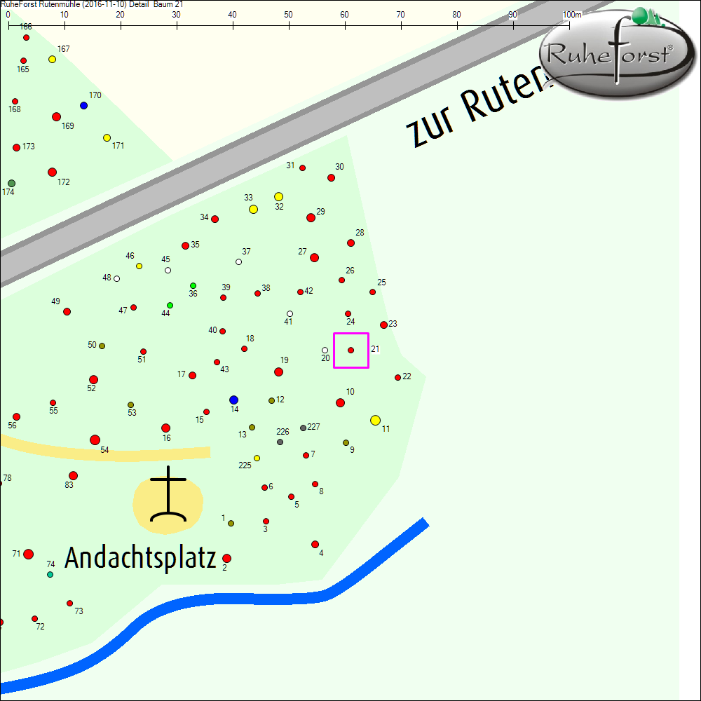 Detailkarte zu Baum 21