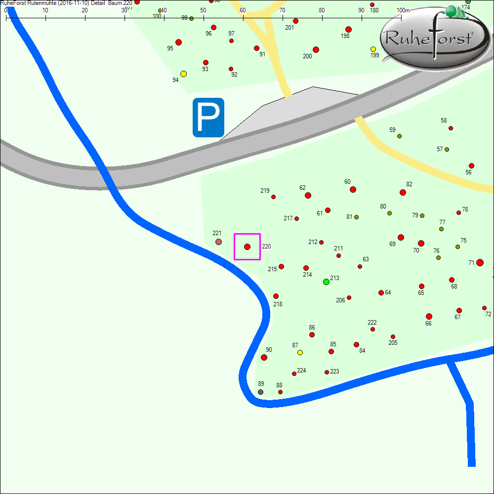 Detailkarte zu Baum 220