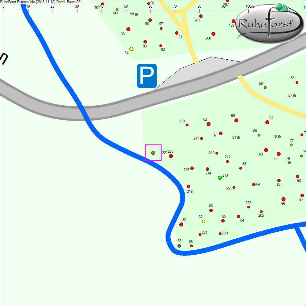 Detailkarte zu Baum 221