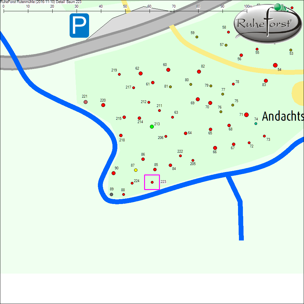 Detailkarte zu Baum 223