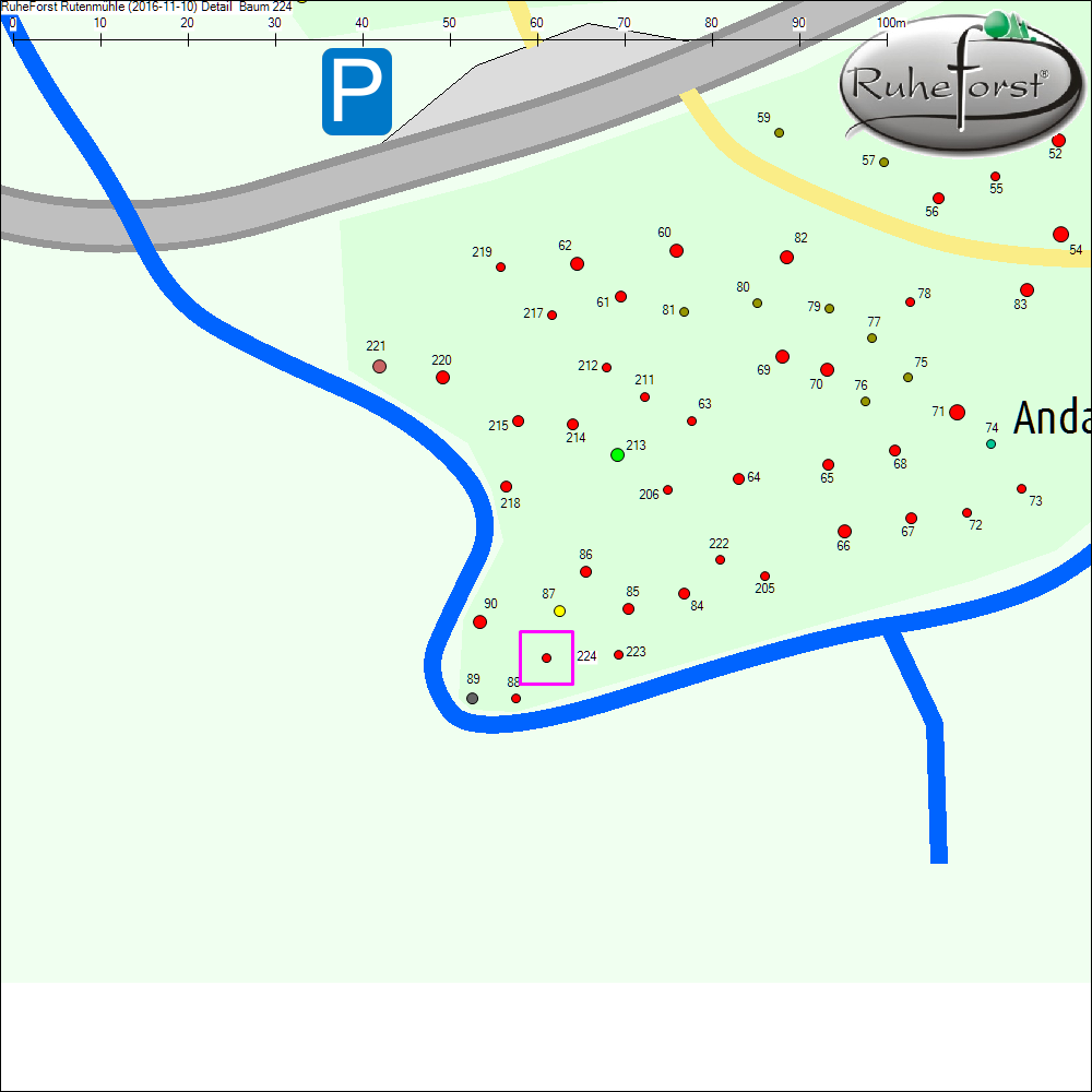 Detailkarte zu Baum 224