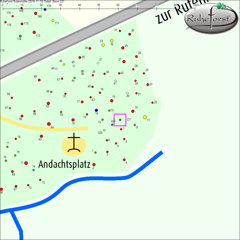 Detailkarte zu Baum 227