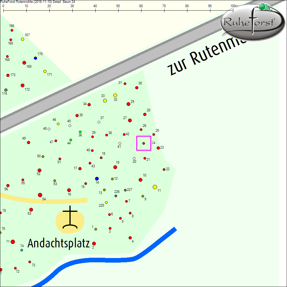 Detailkarte zu Baum 24