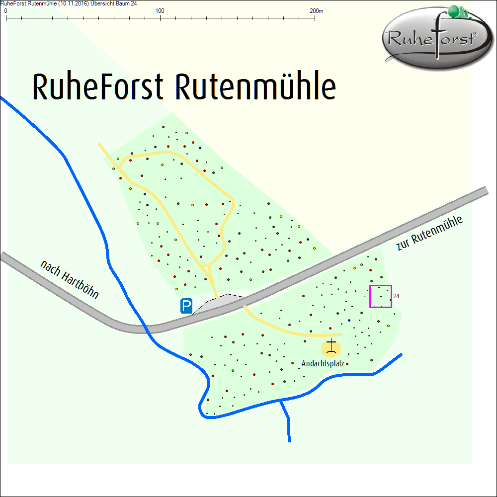&Uuml;bersichtskarte zu Baum 24