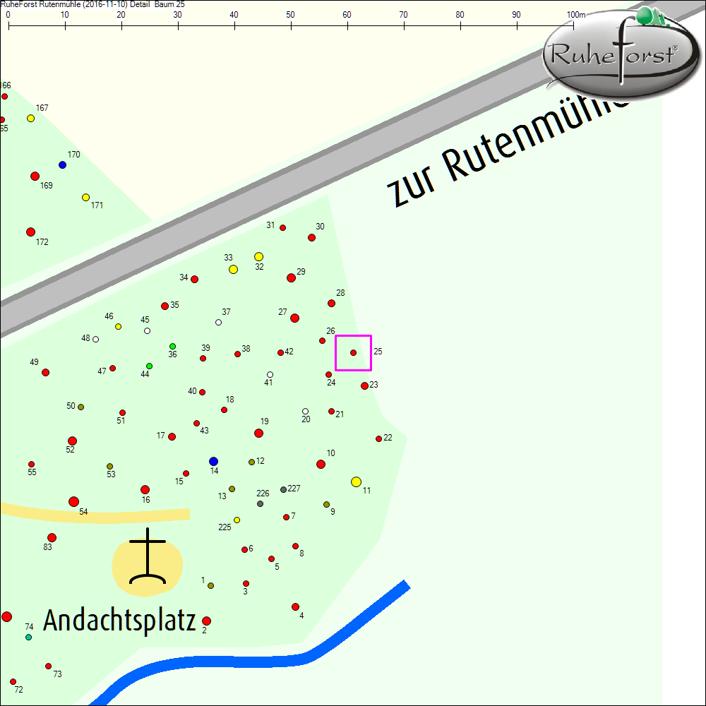 Detailkarte zu Baum 25