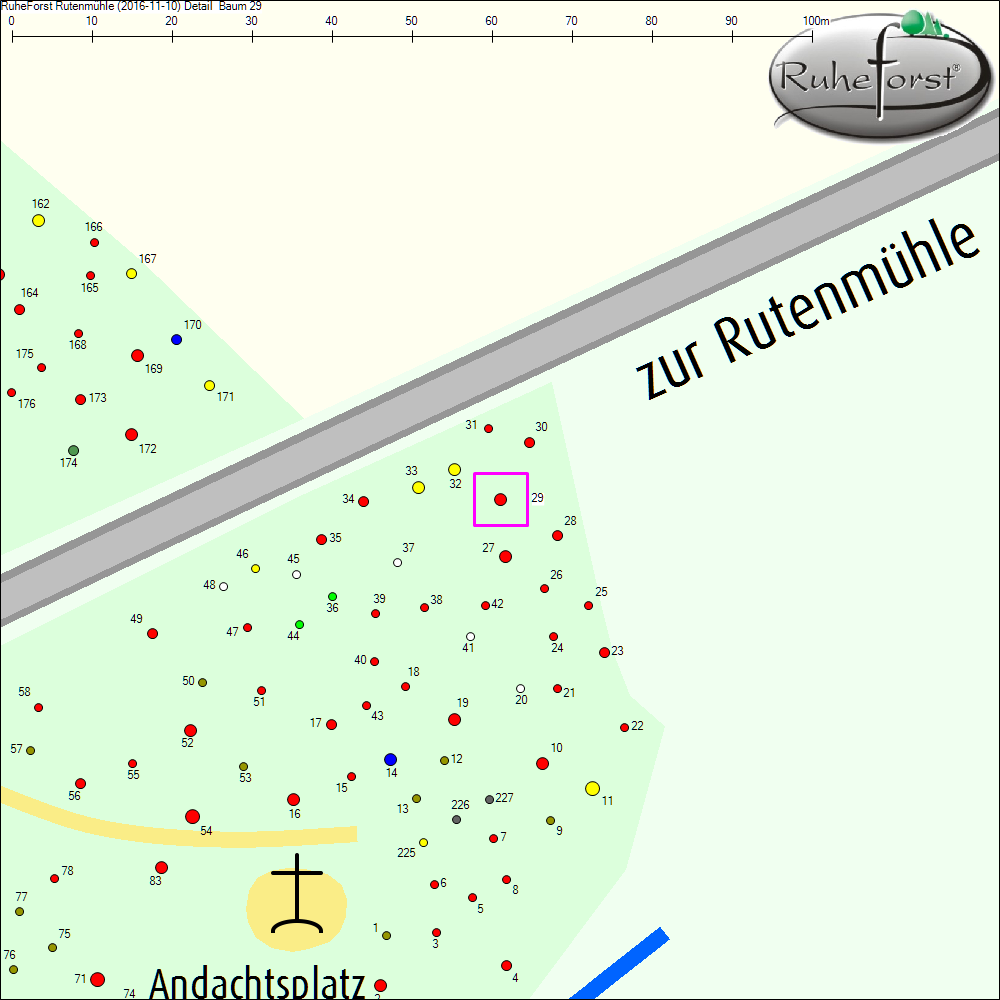 Detailkarte zu Baum 29