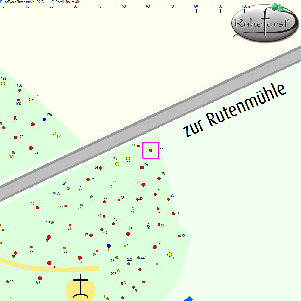 Detailkarte zu Baum 30