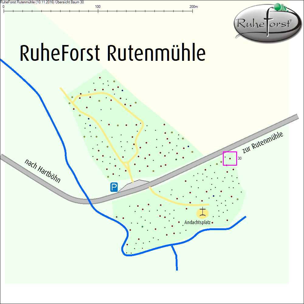 &Uuml;bersichtskarte zu Baum 30