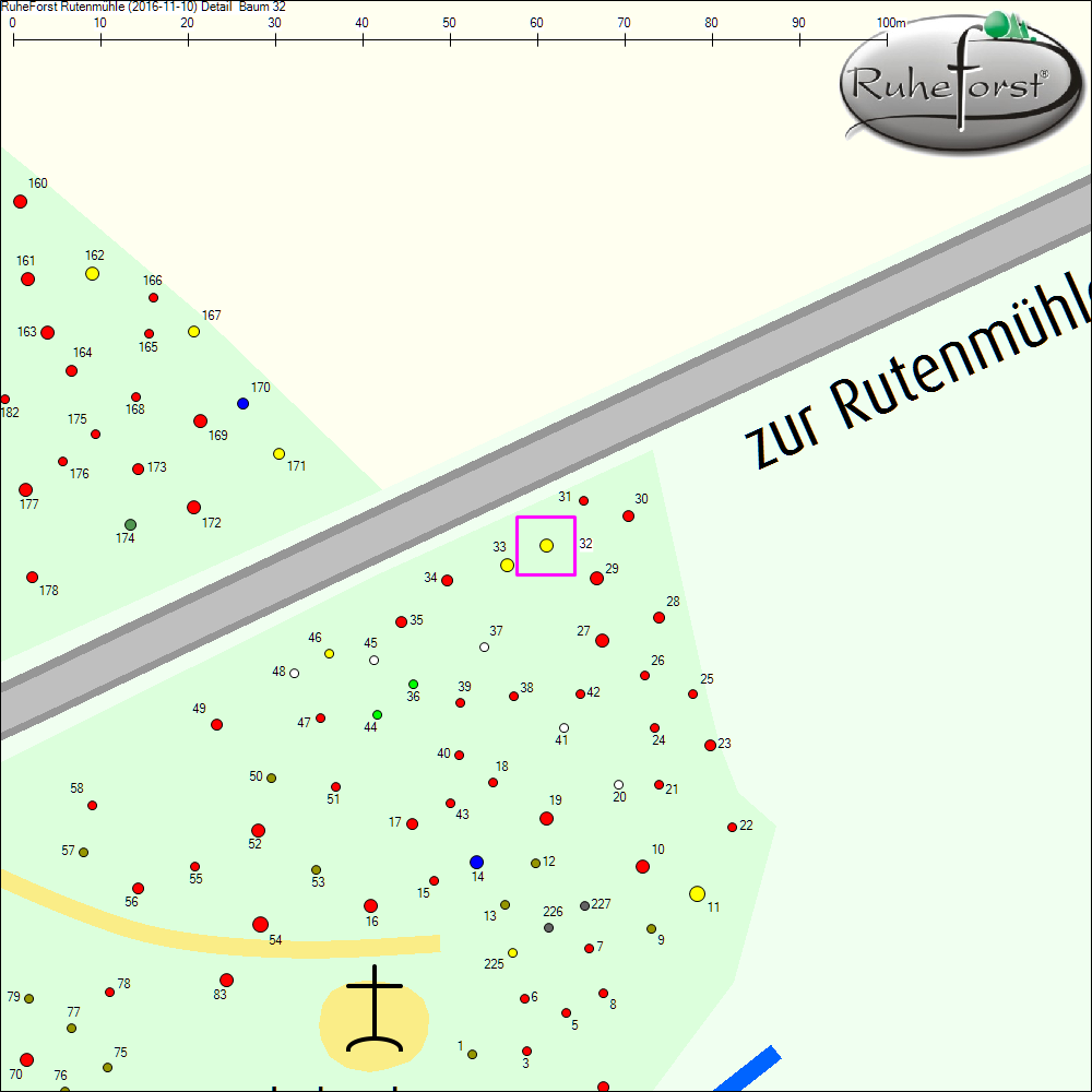 Detailkarte zu Baum 32