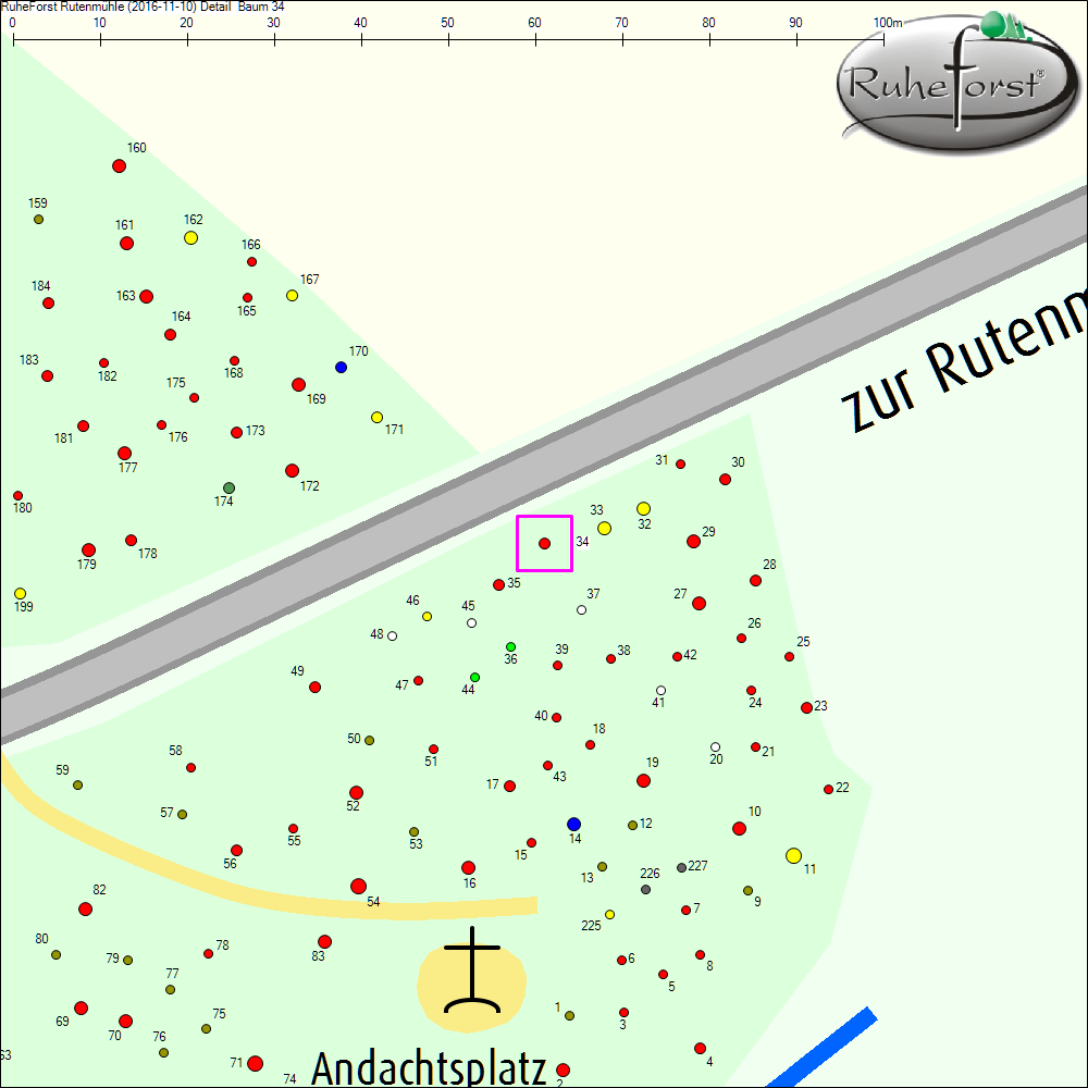 Detailkarte zu Baum 34
