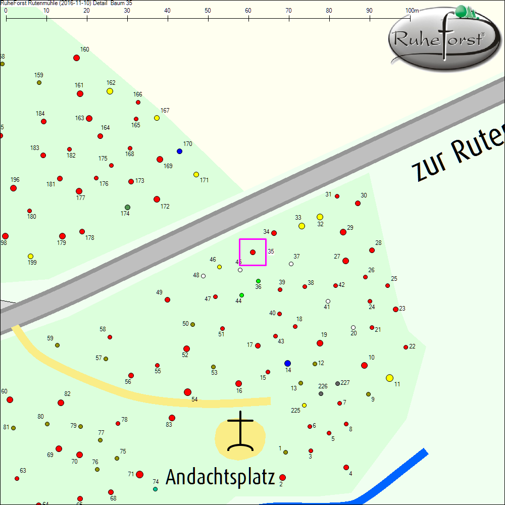 Detailkarte zu Baum 35