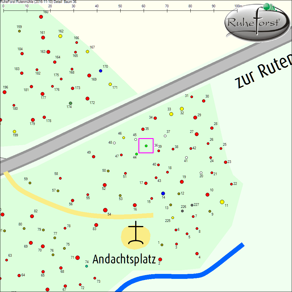 Detailkarte zu Baum 36