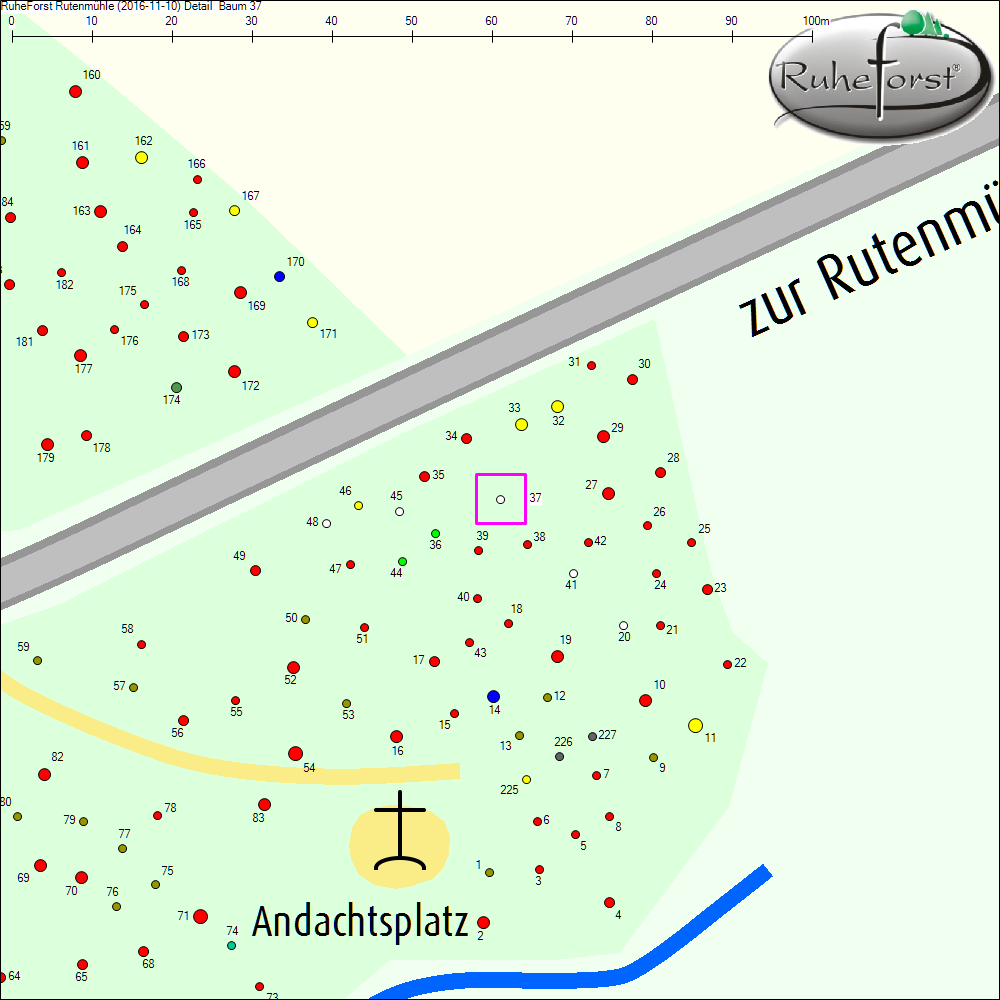 Detailkarte zu Baum 37
